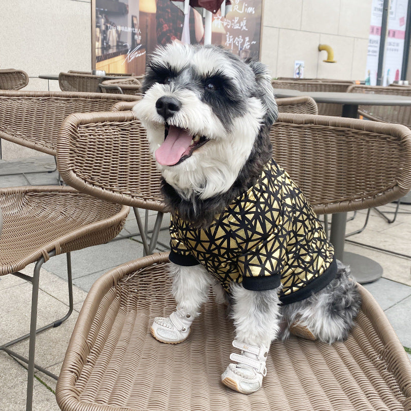 Giacca a Vento per Cani “Star” con Fantasia Dorata - Stile e Comfort per Barboncini e Non Solo