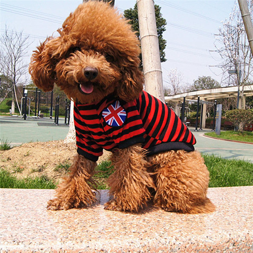 Maglia a Righe per Cani Invernale in Poliestere Caldo