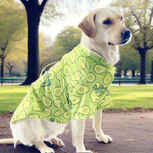 Maglia Leggera per Cani Grandi - Fantasie Divertenti by Dog Moda