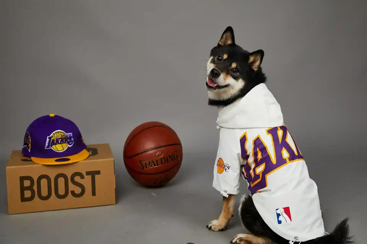 Impermeabile per Cani Lakers con Cappuccio | Giacca Cane Basket by Dog Moda