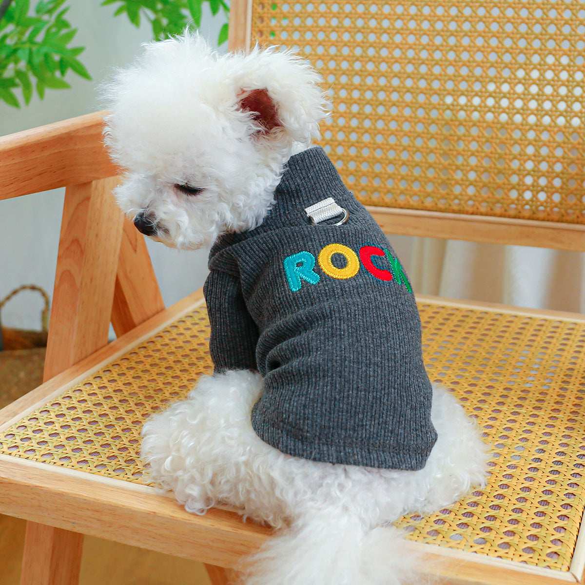 "Mercì" Dog Sweater – Comfort, Style and Protection