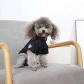Small gray poodle wearing a black shirt and striped pants sitting on a gray armchair