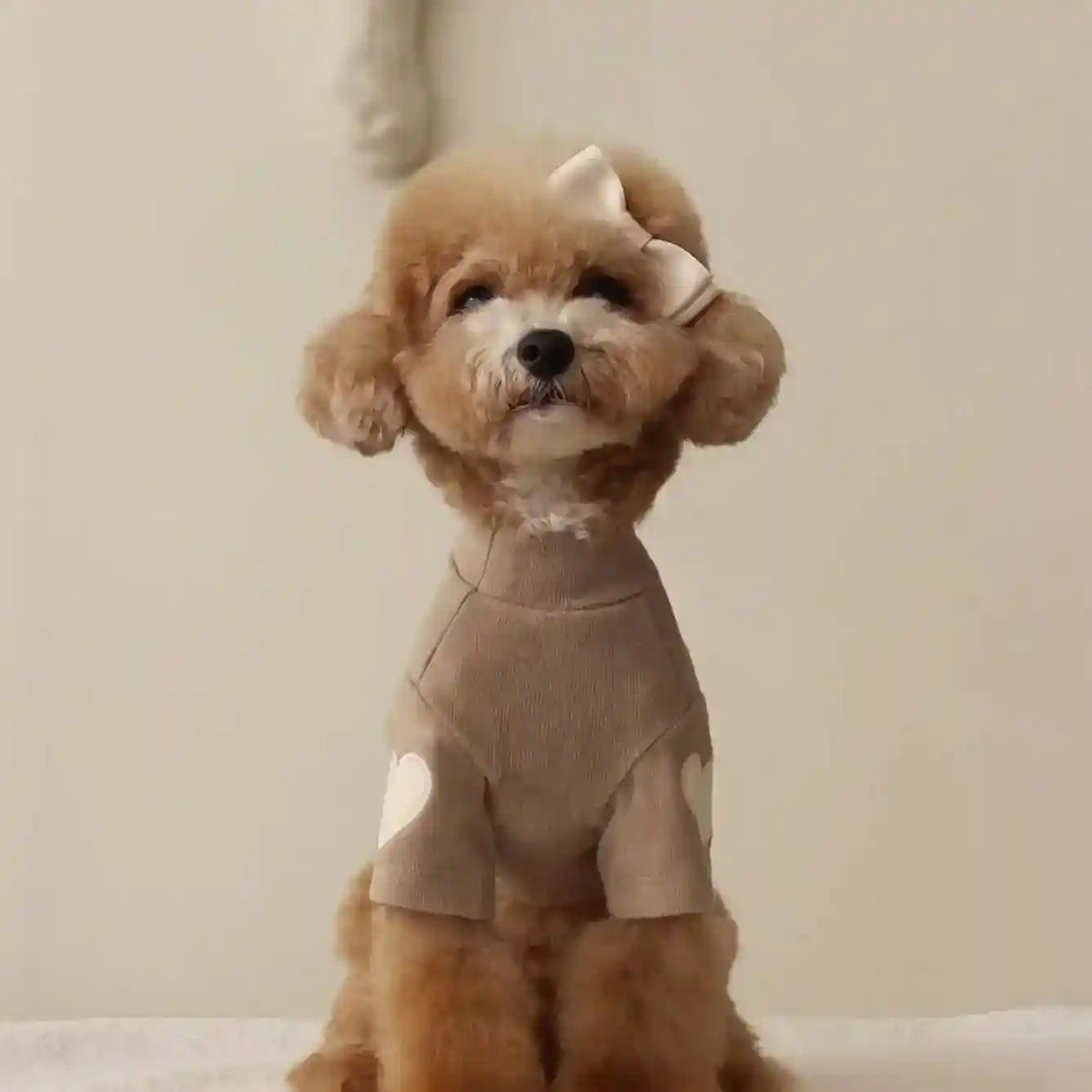 Vestito per Cani con Cuoricini Maniche | Abito Cane Invernale by Dog Moda