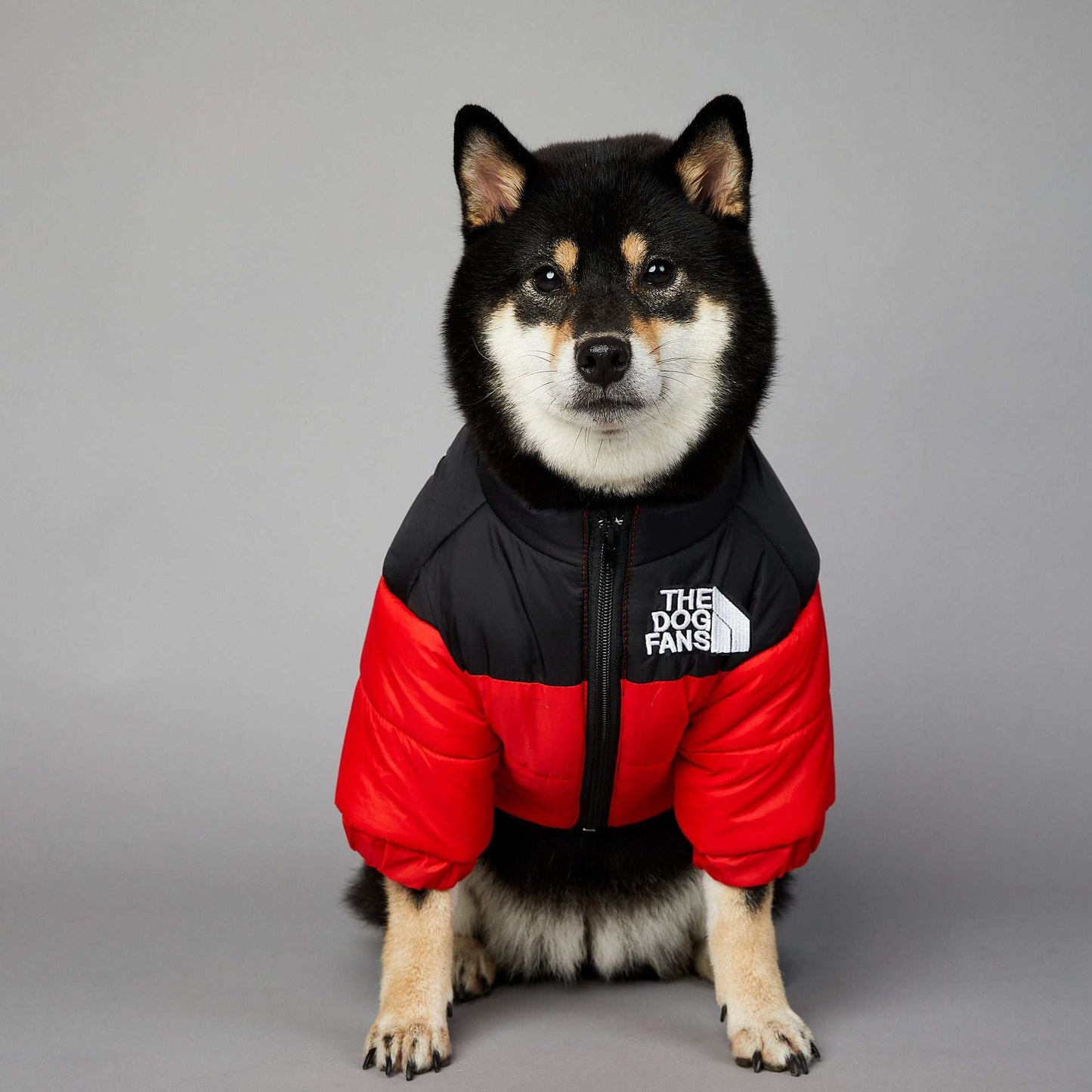 Giacca Invernale per Cani The Dog Fans - Impermeabile e Antivento