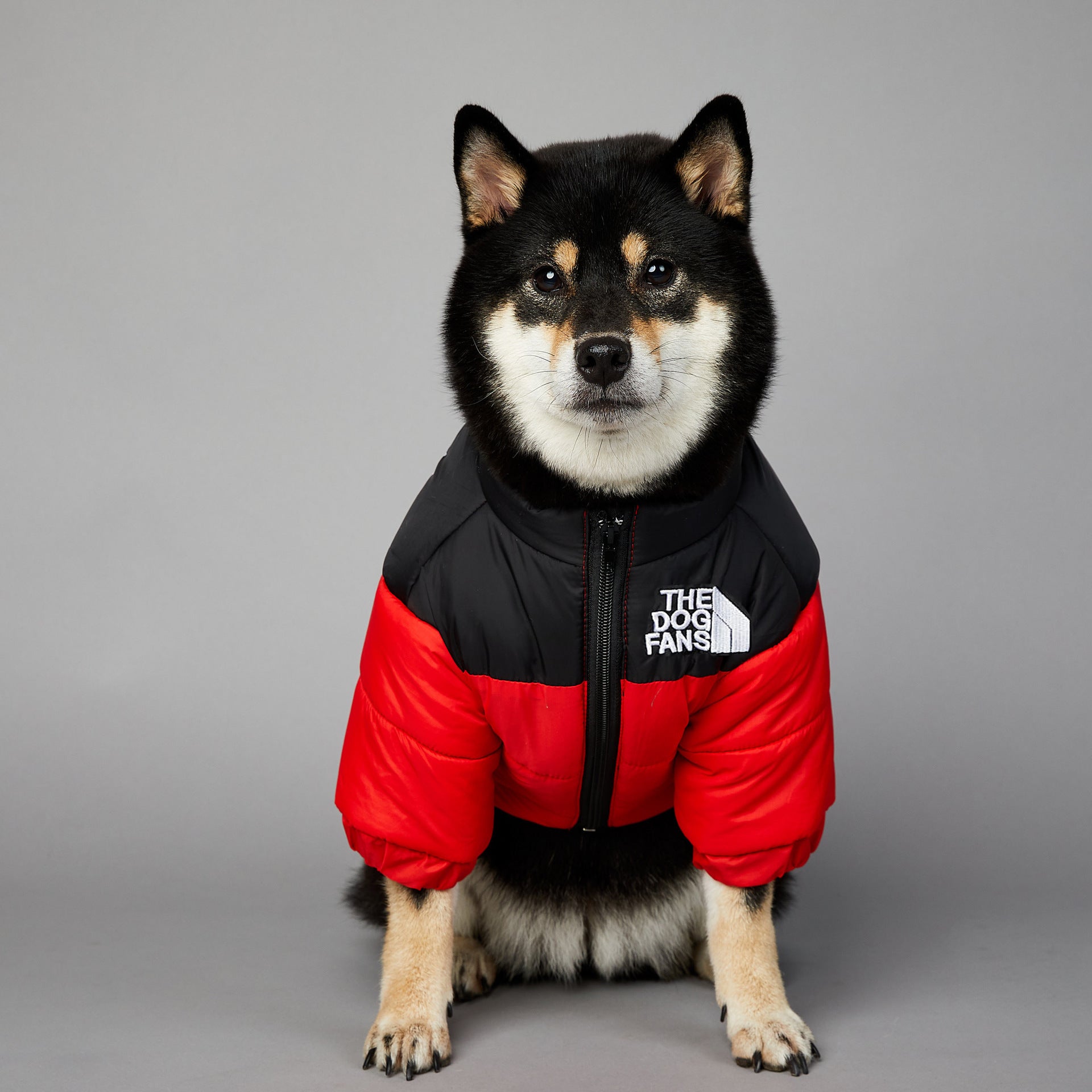 Giacca Invernale per Cani The Dog Fans - Impermeabile e Antivento