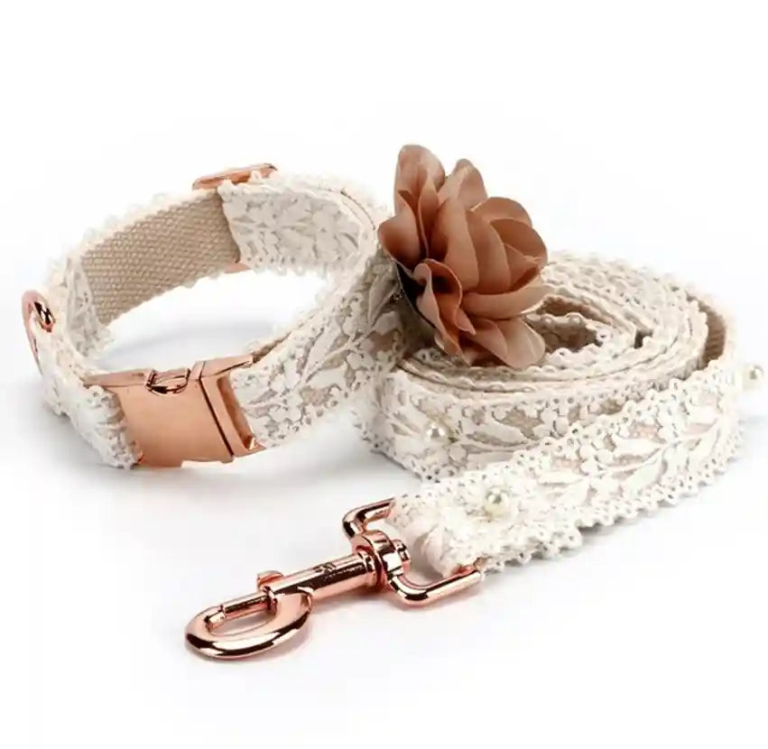 Set Collare Guinzaglio Goia Ricamato Bianco per Cani Gatti by null