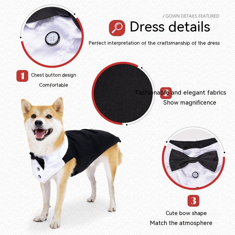 Dog Dress for Weddings and Birthdays Model "Suit"