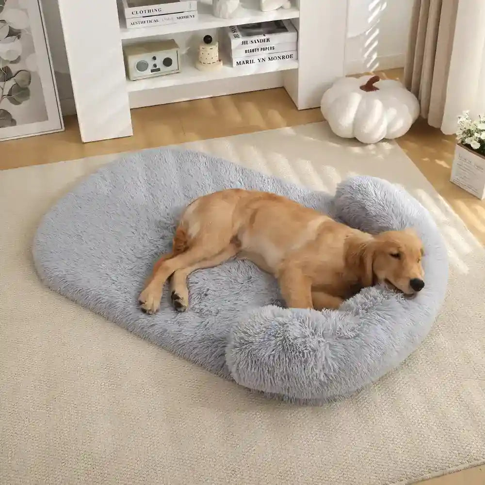Cuccia Cane Dreamy Super Soft - Pile Lungo Imbottita by Dog Moda