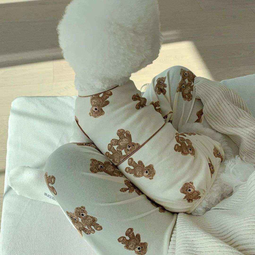 Tutina 4 Zampe per Cani Orsetti – In Cotone Morbido Bianco o Marrone