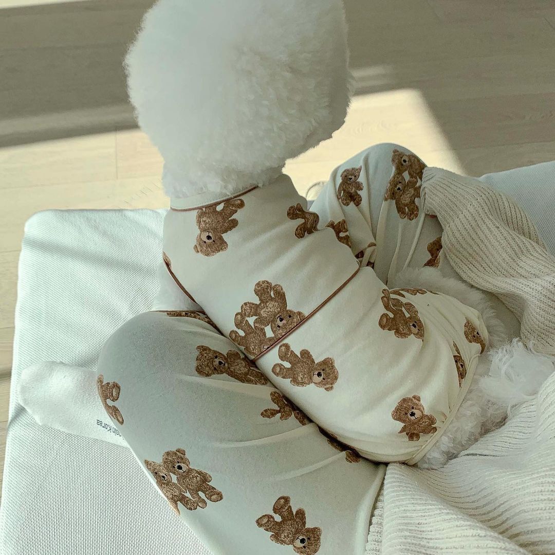 Tutina 4 Zampe per Cani Orsetti – In Cotone Morbido Bianco o Marrone