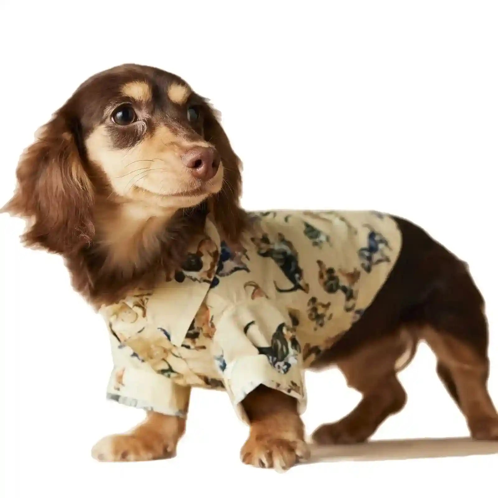 Camicetta Tawney Bear per Cani - Beige con Stampa by Dog Moda