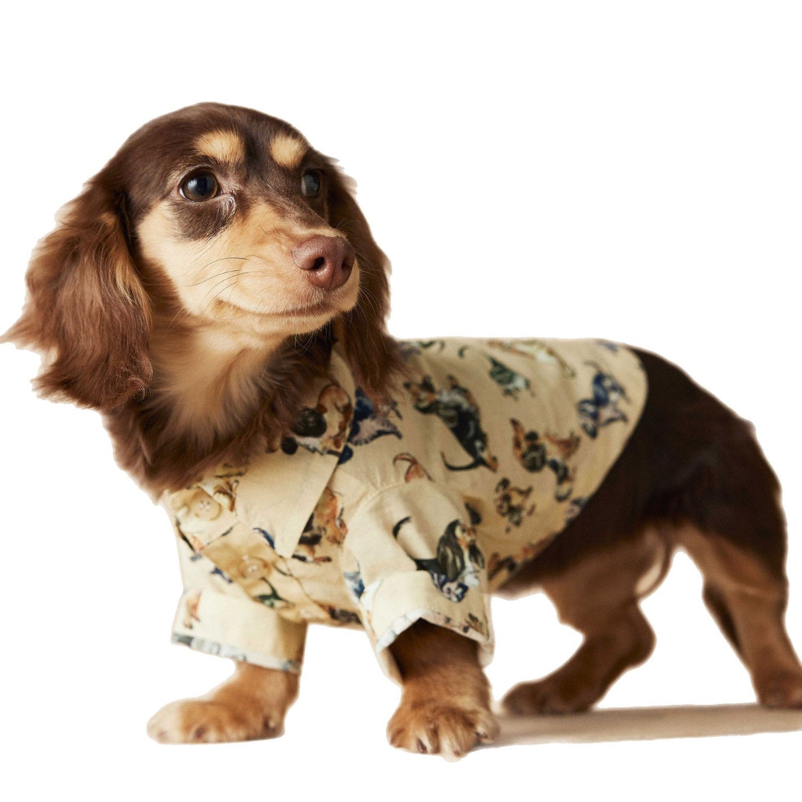 Camicetta Tawney Bear per Cani - Beige con Stampa