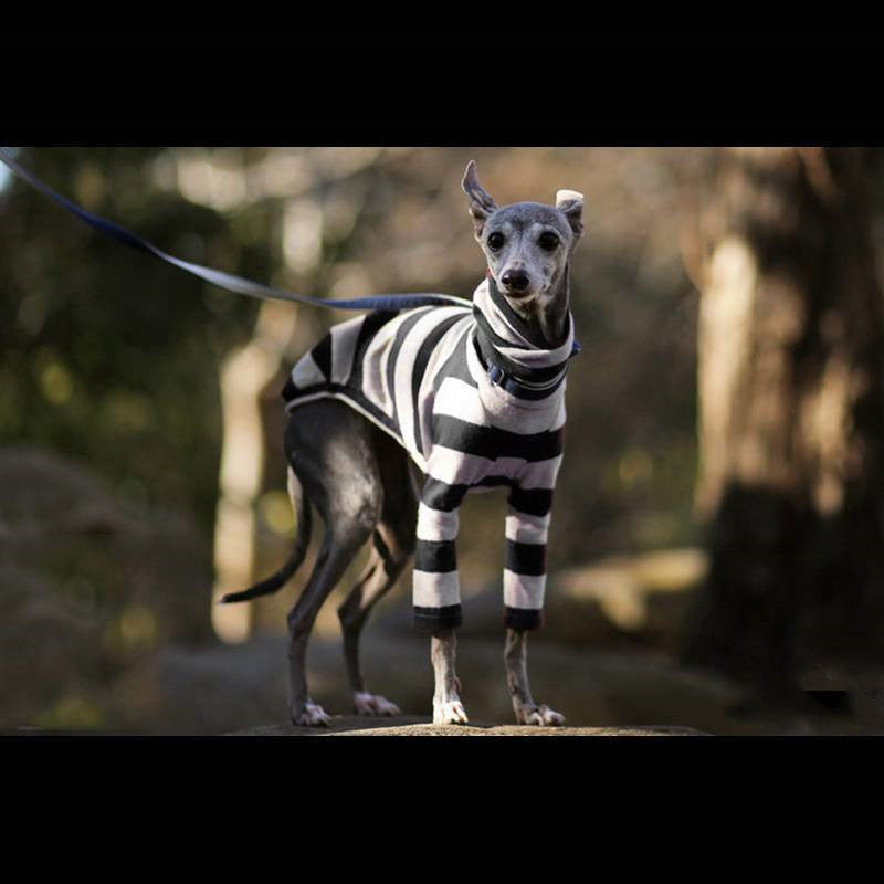 Greyhound Striped Medium Large Dog Sweater