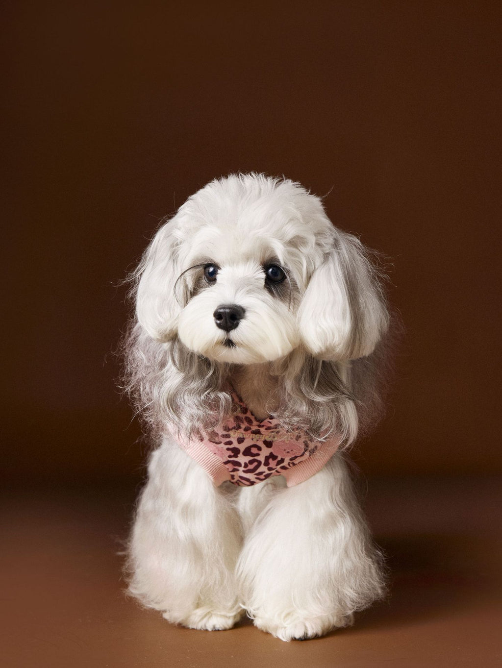 Tawney Bear Leopard Hoodie - Sleeveless