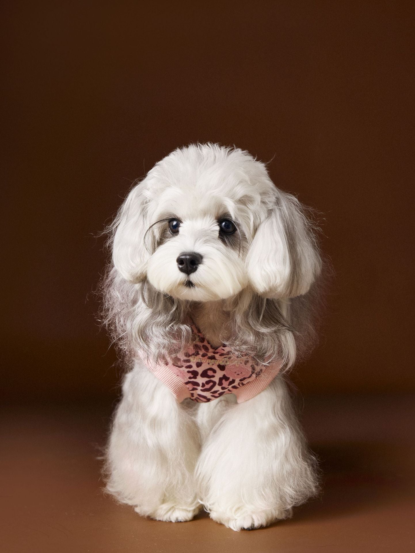 Tawney Bear Leopard Hoodie - Sleeveless