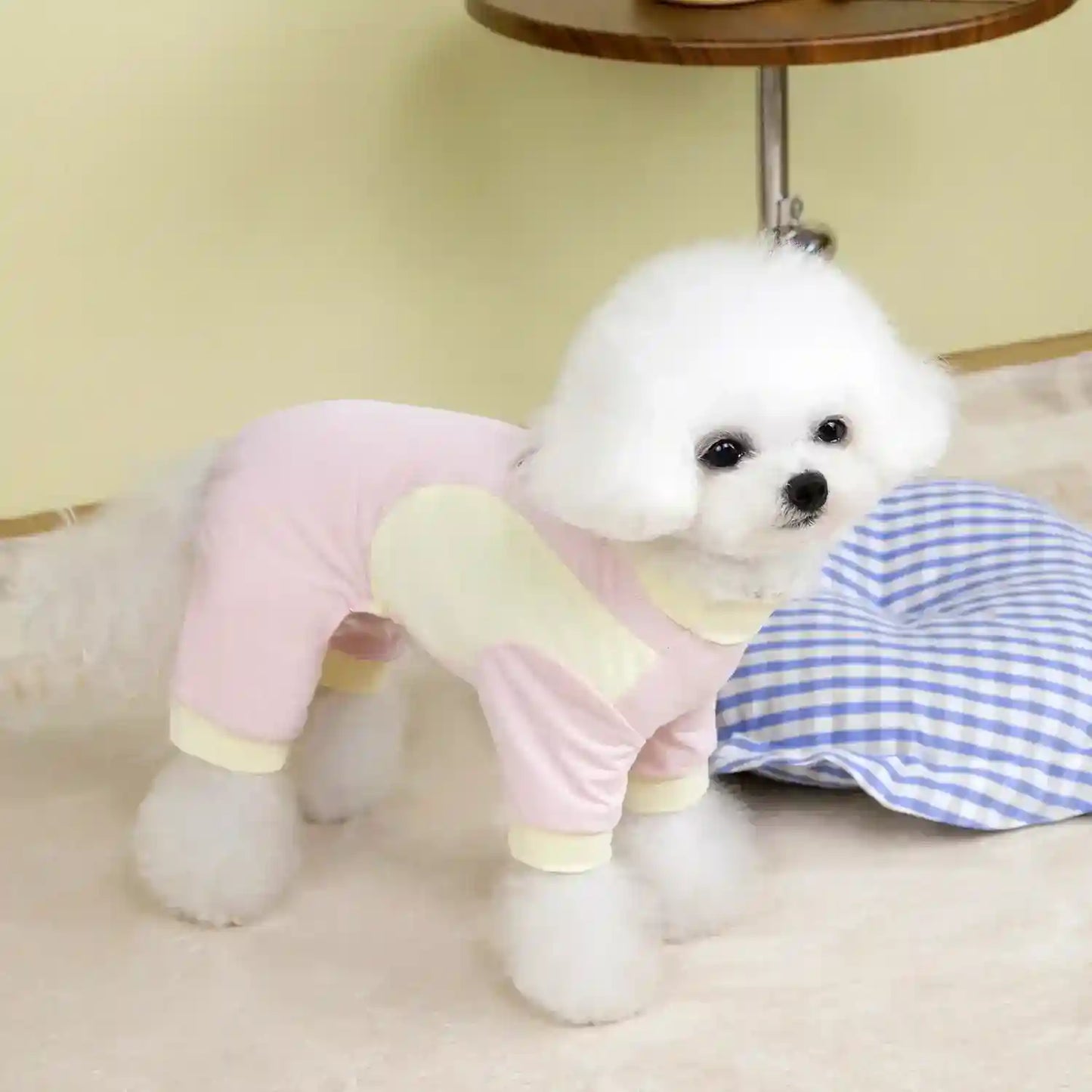 Tutina per Cani 4 Zampe Silk - Seta Glacé Traspirante con Guinzaglio by Dog Moda