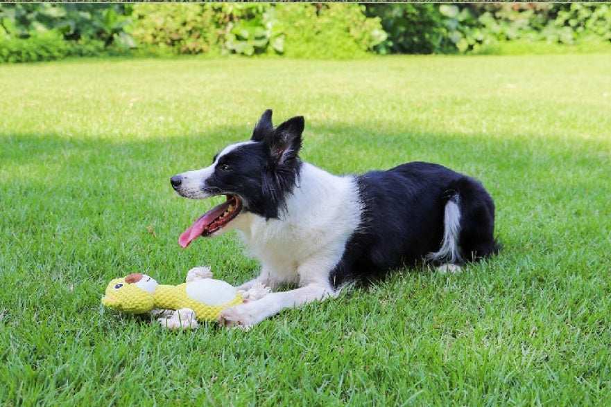 Dog Toy "Woof" - Rope and Plush Elephant or Snake