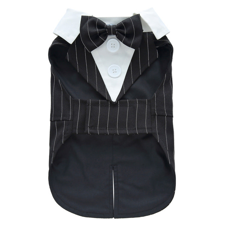 Cord- oder einfarbige Hunde-Smokings – Eleganz für Hochzeiten und besondere Anlässe