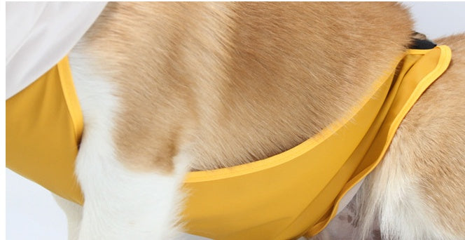 Waterproof Dog Cape with Visor - Total Protection for Your 4-Legged Friend