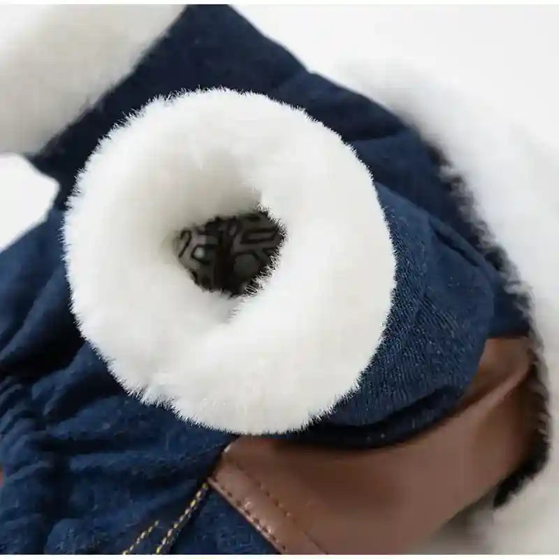 Abrigo Vault Jeans de Ecopiel para Perros - Acolchado con Cremallera