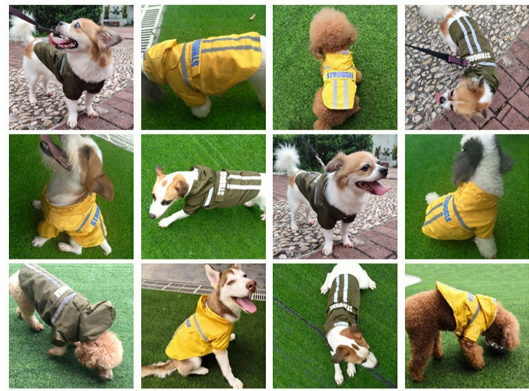 Impermeabile per Cani Modello Struggle con Chiusura a Bottoni e Strisce Riflettenti - Dog Moda