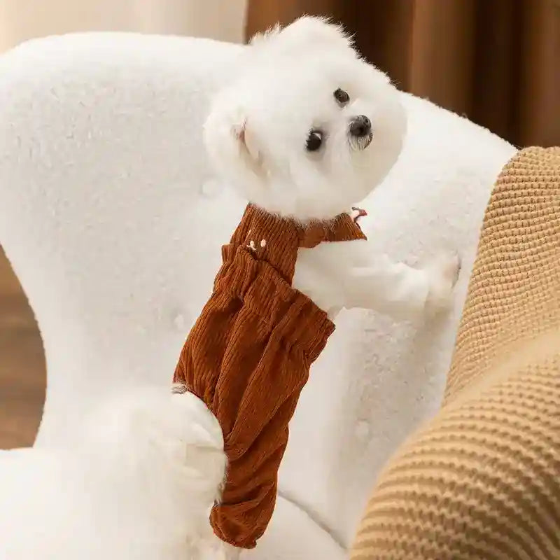 Peto de Terciopelo de Canalé para Perros - Estilo Retro Conejo