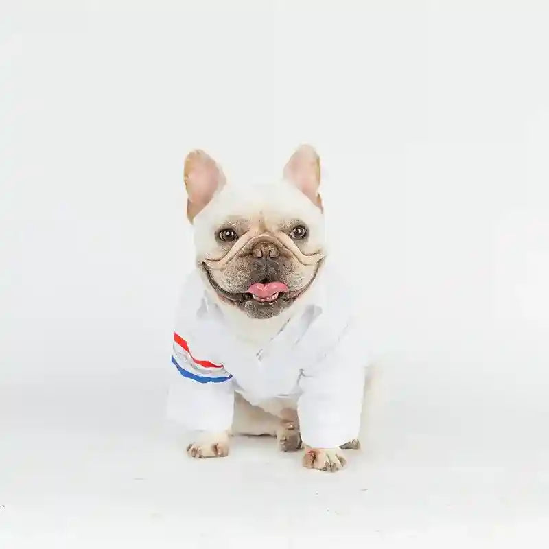 Camicetta Cani Elegante Cotone Comoda Traspirante by null
