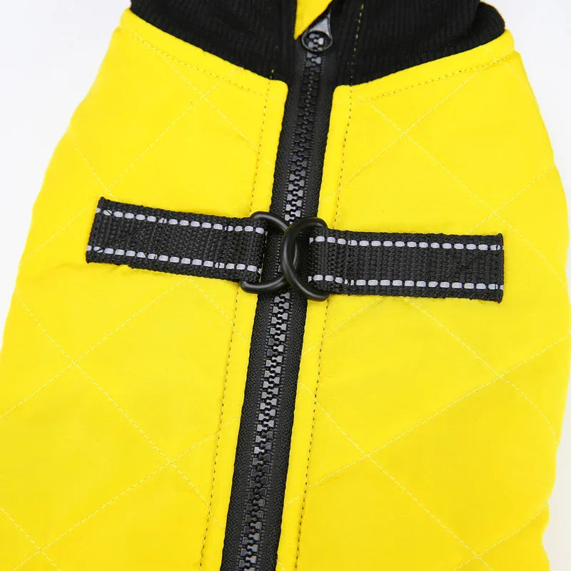 Dot Dog Coat - Back Closure and Leash Ring