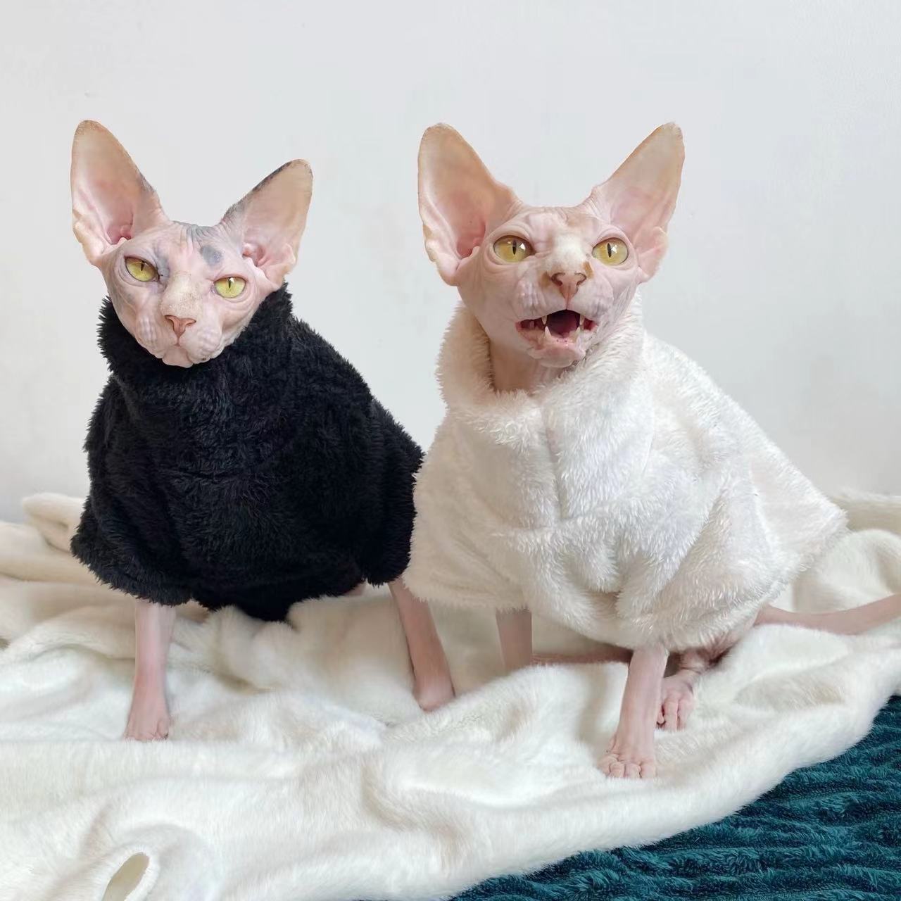 Pile Invernale per Gatti – Giacca Calda in Peluche Bianco o Nero