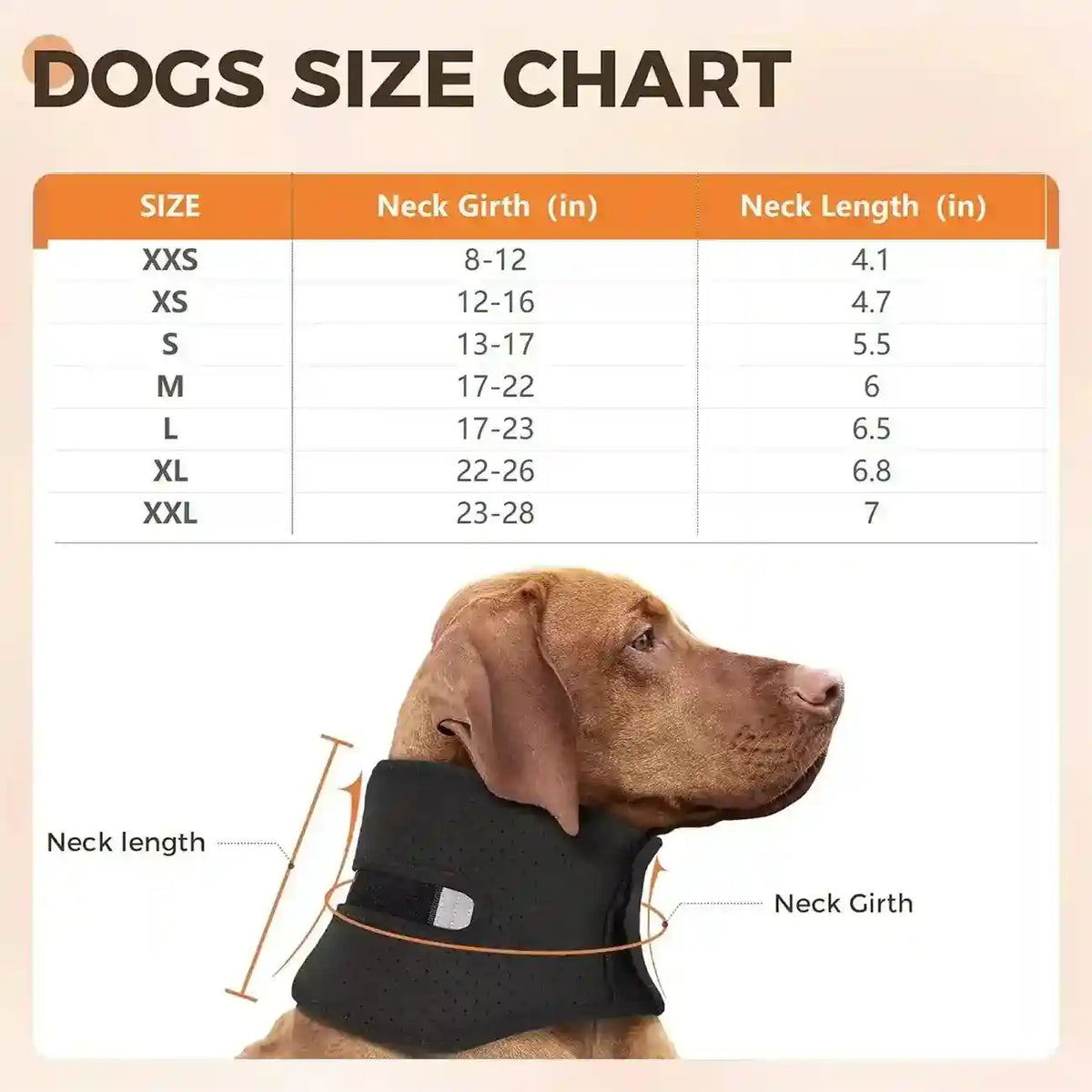 Collare Ortopedico per Cani - Supporto Cervicale Forte Antileccamento by Dog Moda
