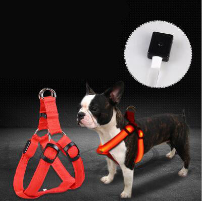 "Hudson" USB Rechargeable Light Up Dog Harness