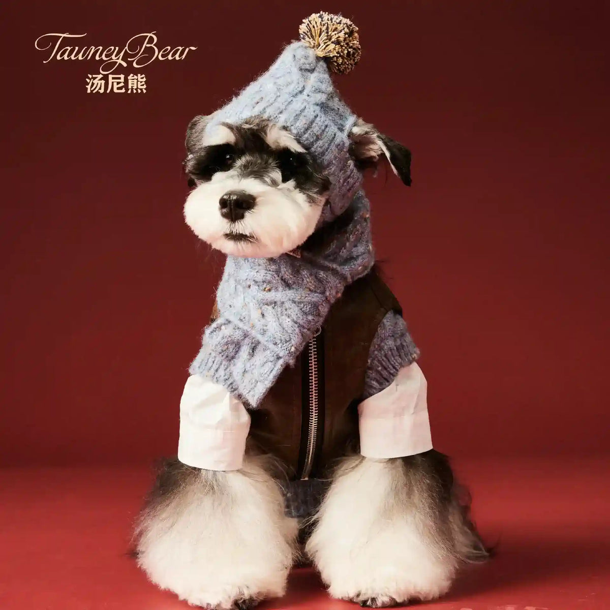 Cappello Sciarpa Cane - Set Lana Inverno Piccola Taglia by Dog Moda
