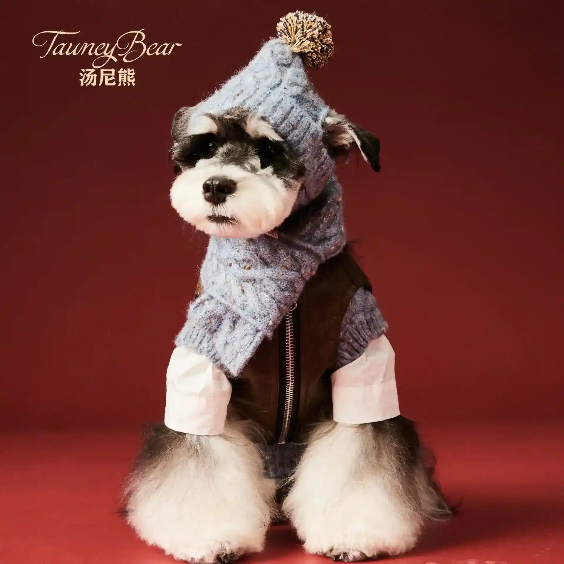 犬用帽子とマフラーセット - 小型犬用ウール冬用