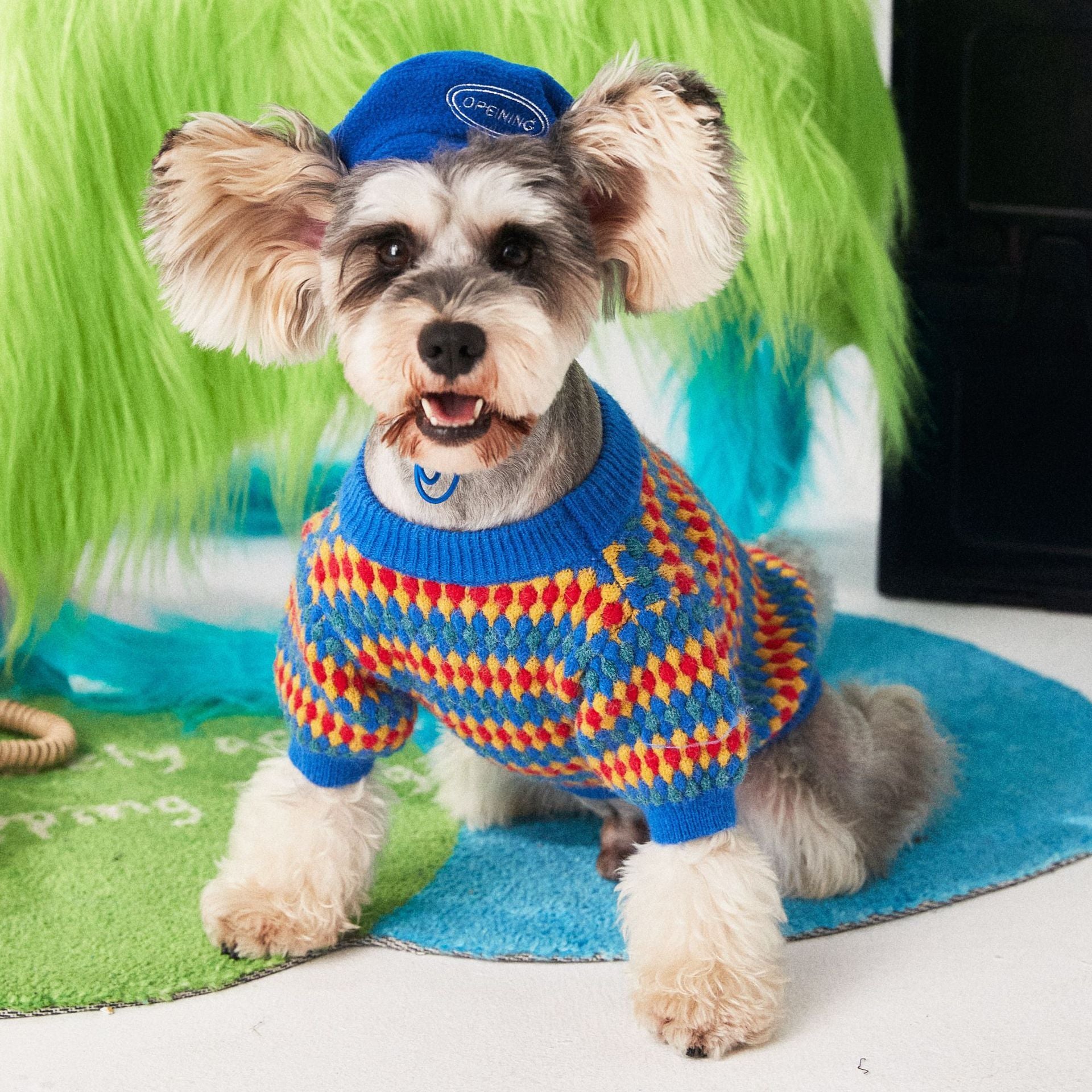 Pamplona Dog Sweater | Bright Colors and Yellow, Red and Blue Diamonds