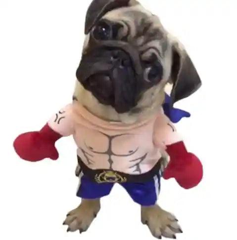 Costume Boxer Cani Gatti - Felpa Divertente con Guantoni by Dog Moda