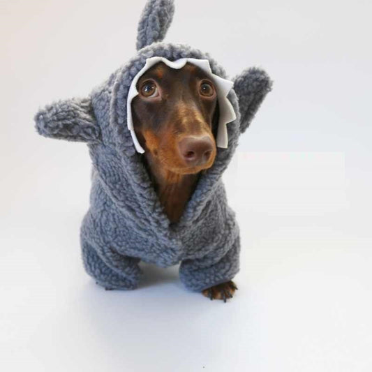 Cappottino invernale per cani Shark azzurro con cappuccio