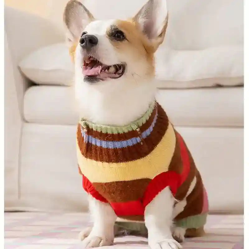 Maglione CHERRY Hipidog - Righe Colorate e Ciliegie by Dog Moda