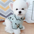Small white fluffy dog wearing light blue polka dot sweater sitting on wooden floor with pillows