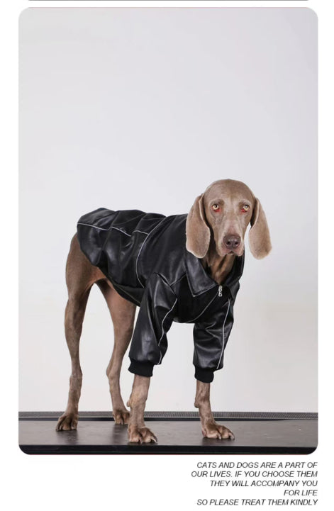 Giacca Pelle Cane Taglia Grande Labrador Golden Retriever