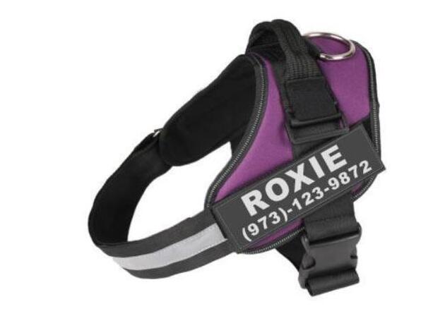 Pettorina per Cani Personalizzabile - Dog Moda
