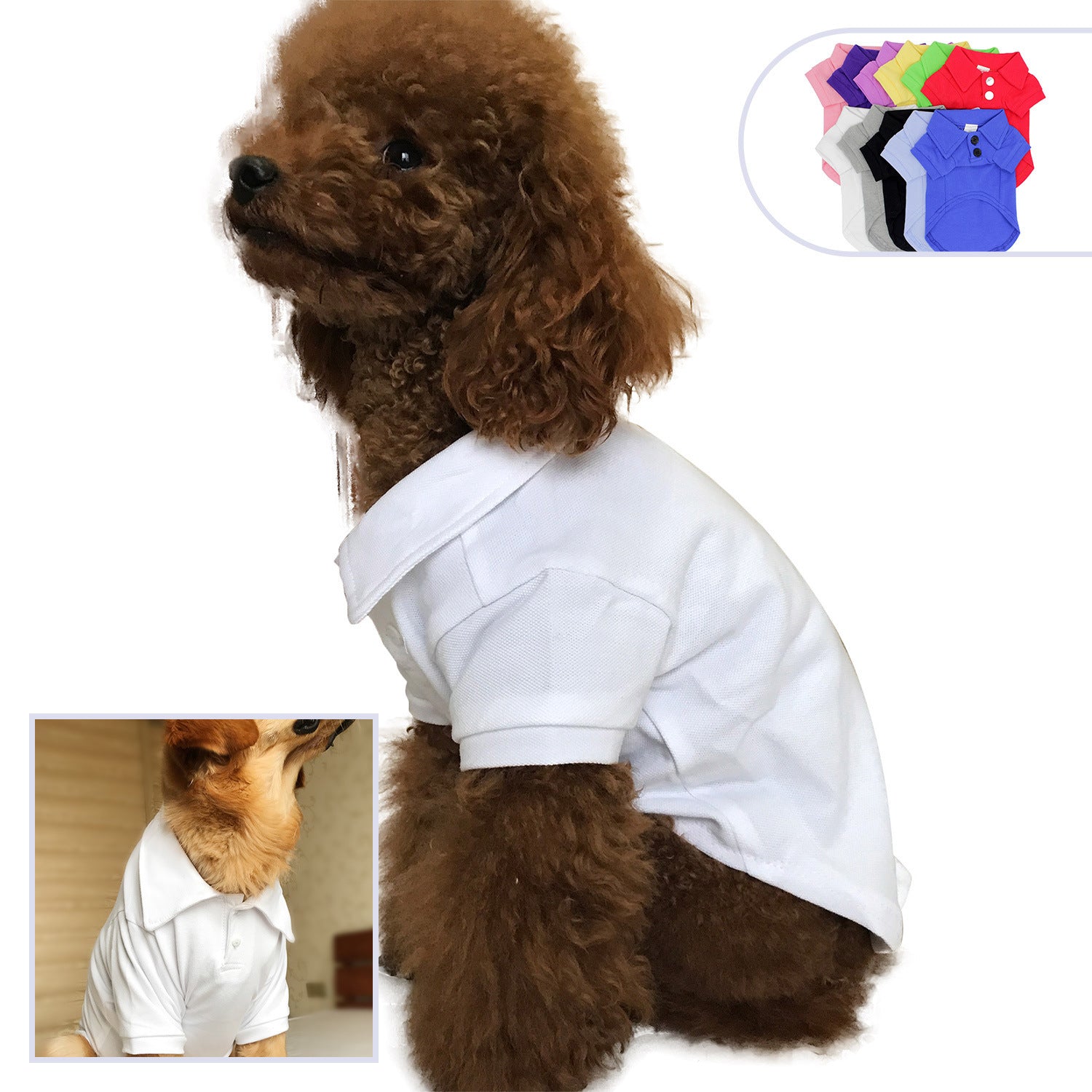 Cotton Polo Shirt for Dogs "Preppy Paws" 
