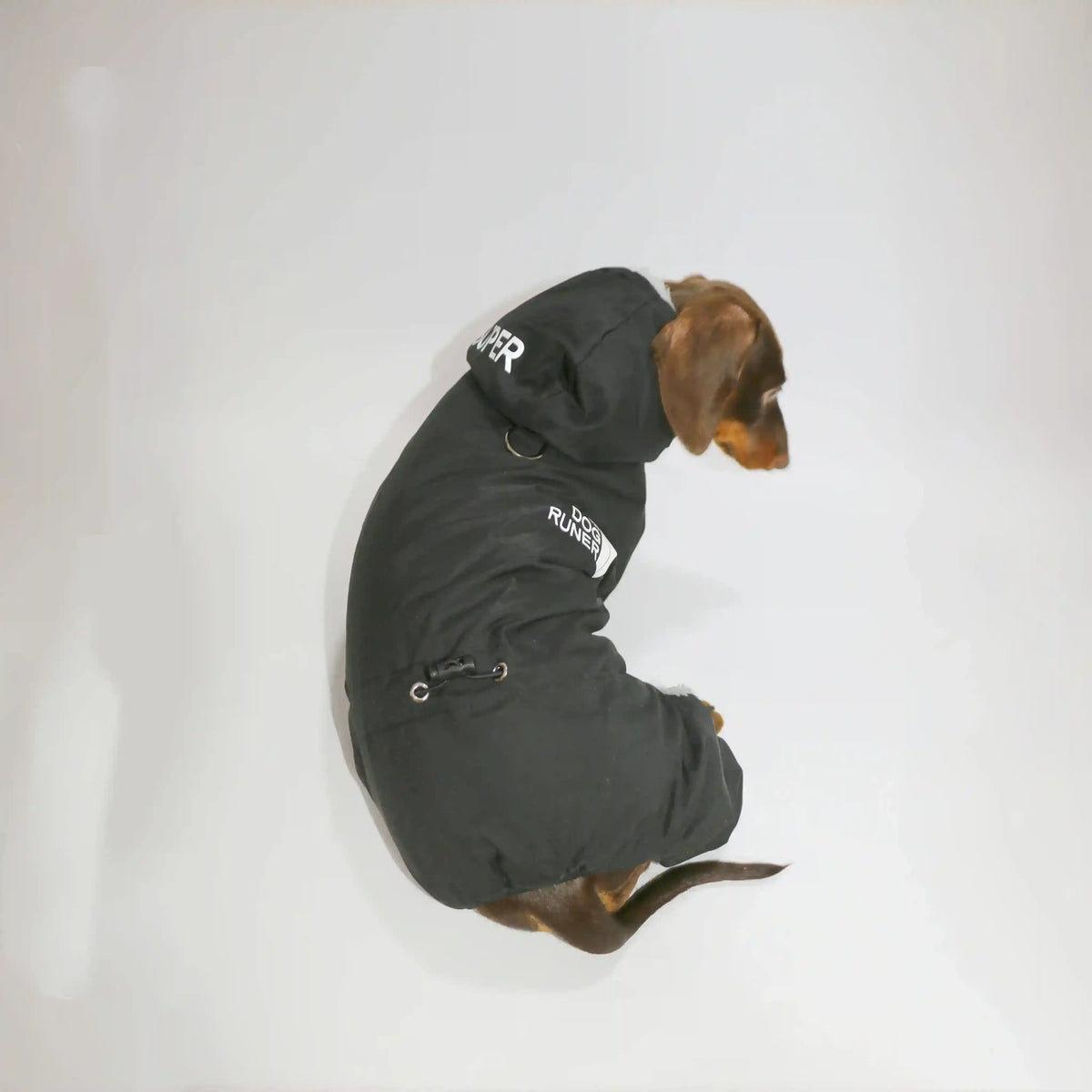 Cappotto per Bassotto “Running” con Cappuccio e Pile by Dog Moda