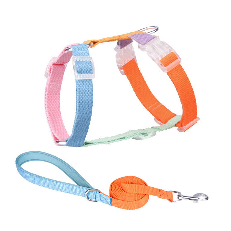 H "Color Rainbow" Leash and Harness Set