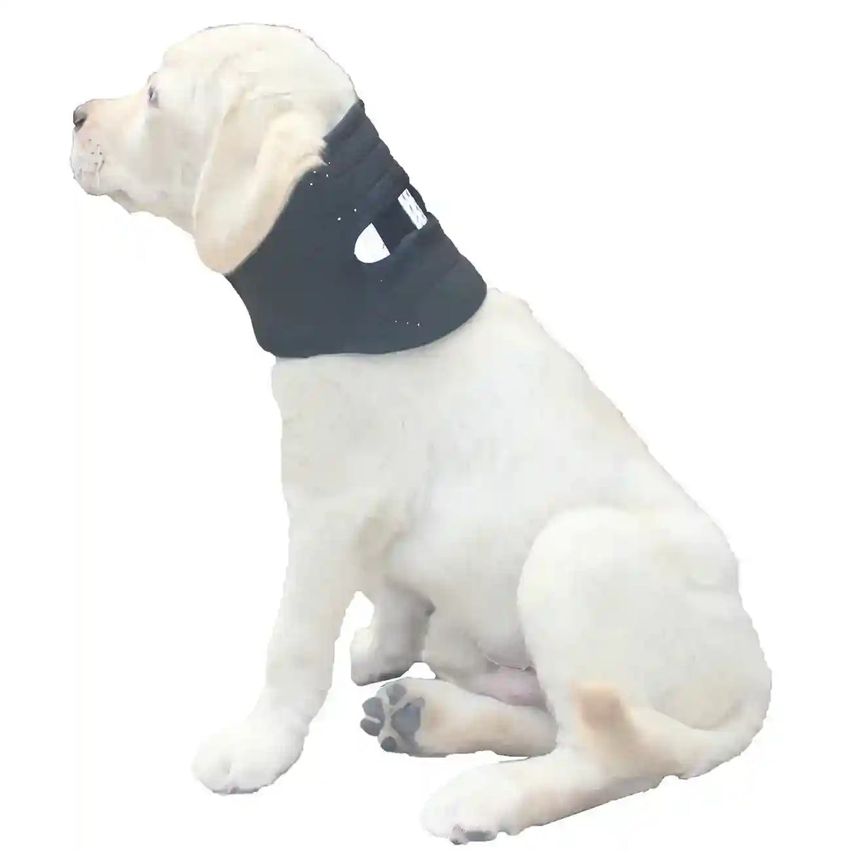 Collare Ortopedico per Cani - Supporto Cervicale Forte Antileccamento by Dog Moda