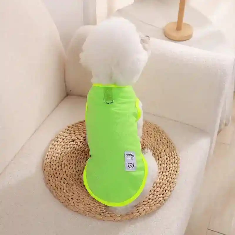 Maglietta per Cani "Lucky Bear" - Vest Smamicato con Anello per Guinzaglio by Dog Moda