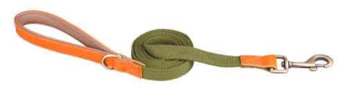 Collare Yatch per Cani in Pelle - Regolabile e Resistente