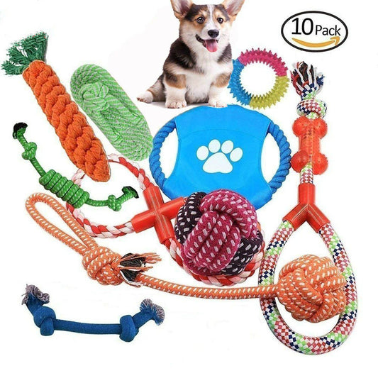 Set Giochi per Cani in Corda e Silicone – Divertimento, Salute e Benessere per il Tuo Amico a Quattro Zampe