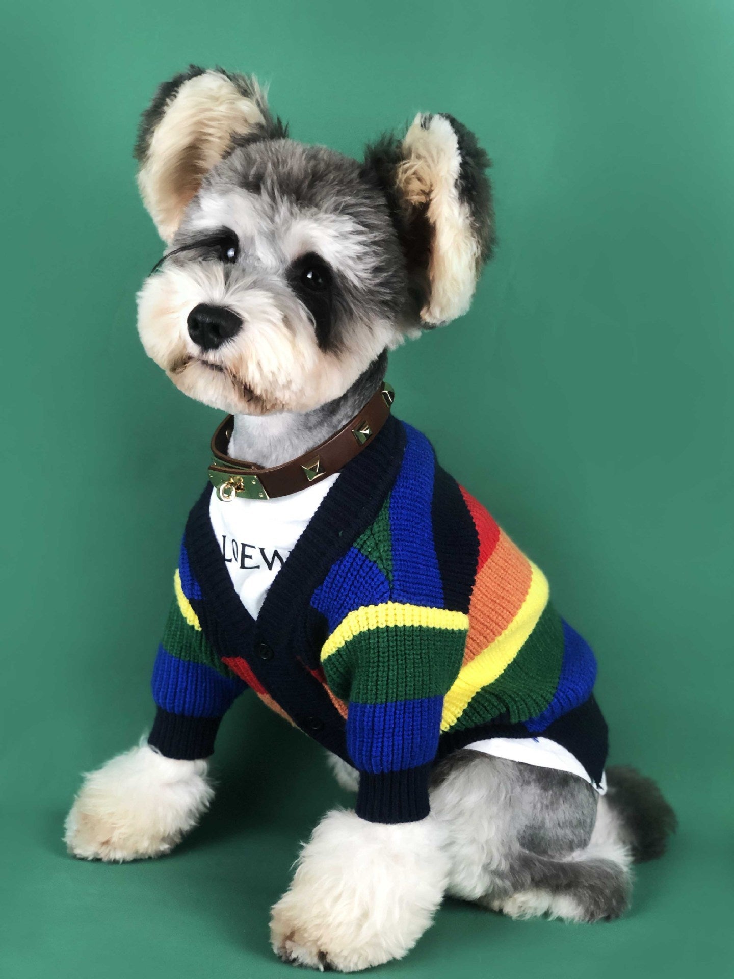 Maglione per Cani "Arcobaleno" – Morbido, Colorato e Super Trendy