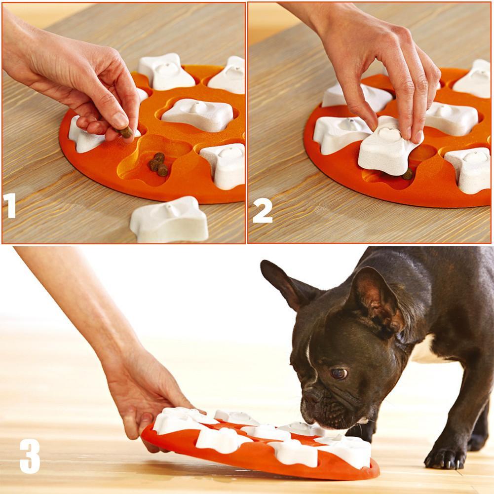 Dog Puzzle with Perforated Caps: The Smart Game That Stimulates Your Four-Legged Friend's Mind