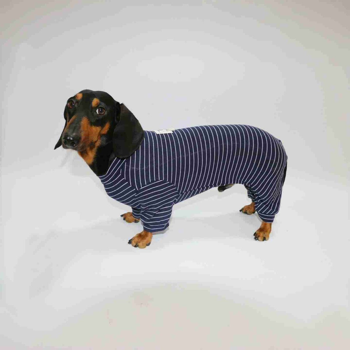 Tutina Bassotto a Righe - Copertura 4 Zampe per Corpi Allungati by Dog Moda